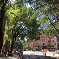 Studio Apartment for rent in Noho - Manhattan, New York