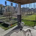 Room for rent in Nolan Hill #8