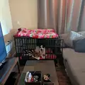 Room for rent in Nolan Hill #9