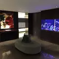 Studio Apartment for rent in Midtown - Manhattan, New York