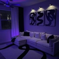 Room for rent in Downtown Houston #3
