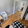 Room for rent in Alderwood #3