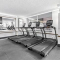 Studio Apartment for rent in Murray Hill - Manhattan, New York
