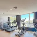 1 bedroom apartment for rent in Williamsburg - Brooklyn, New York