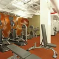 1 bedroom apartment for rent in Upper West Side - Manhattan, New York