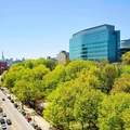 2 bedrooms apartment for rent in Harlem - Manhattan, New York