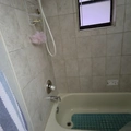 Room for rent in Temple Terrace #15