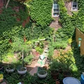 Room for rent in Bedford Stuyvesant #15