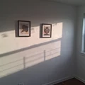 Room for rent in Midwood #2