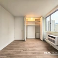 1 bedroom apartment for rent in Gold Coast - Central, Chicago