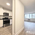 1 bedroom apartment for rent in Gold Coast - Central, Chicago