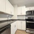 1 bedroom apartment for rent in Gold Coast - Central, Chicago