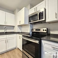 1 bedroom apartment for rent in Gold Coast - Central, Chicago