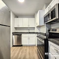 1 bedroom apartment for rent in Gold Coast - Central, Chicago
