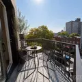 1 bedroom apartment for rent in Flatbush Ditmas Park - Brooklyn, New York