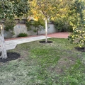 Room for rent in Culver City #8