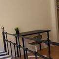 Coliving in Oakridge - West Van, Vancouver