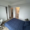 Coliving in Yonge-Eglinton - Midtown TO, Toronto