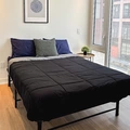 Coliving in Corktown - Downtown TO, Toronto