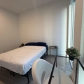 Coliving in Garden District - Downtown TO, Toronto