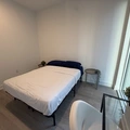 Coliving in Garden District - Downtown TO, Toronto