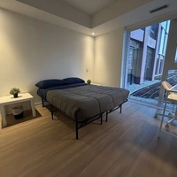 Co-living en Corktown - Downtown TO, Toronto