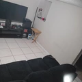 Room for rent in Pine Hills #4