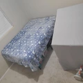 Room for rent in Pine Hills #7