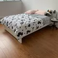 Room for rent in Agincourt #2