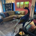Room for rent in West Hollywood #13