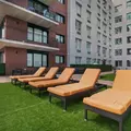 2 bedrooms apartment for rent in Jamaica - Queens, New York