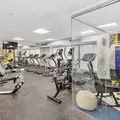 1 bedroom apartment for rent in Harlem - Manhattan, New York