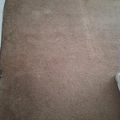 Room for rent in Winter Park #4