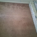 Room for rent in Winter Park #3