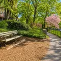 1 bedroom apartment for rent in Upper West Side - Manhattan, New York