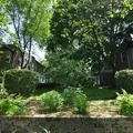 2 bedrooms apartment for rent in Sunnyside - Queens, New York