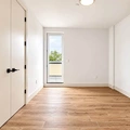 Room for rent in Flatbush Ditmas Park #2