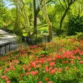 3 bedrooms apartment for rent in Morningside Heights - Manhattan, New York