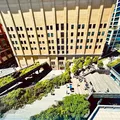 1 bedroom apartment for rent in Chelsea - Manhattan, New York