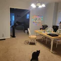 Room for rent in Broad Ripple #8