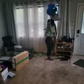 Room for rent in Broad Ripple #5