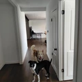 Room for rent in Far West Side #2