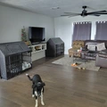 Room for rent in Far West Side #6