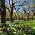 2 bedrooms apartment for rent in Greenwich Village - Manhattan, New York