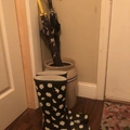 Room for rent in Noblesville #5