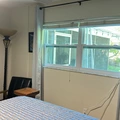 Room for rent in Clearwater #26