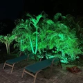 Room for rent in Clearwater #28