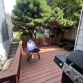 Room for rent in Georgetown #12