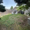 Room for rent in Georgetown #13