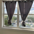Room for rent in Coral Way #5